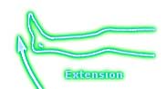 Extension